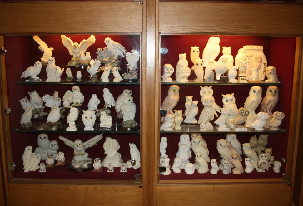Museum of Owl