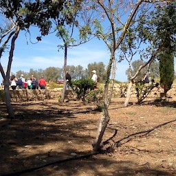 Archaeological Park of Kato Paphos
