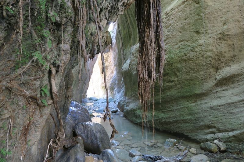 Abacus Canyon